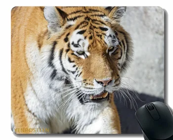 Геймърска подложка за мишка на поръчка, Тигър Predator Big Cat 175490 Подложка за мишка на неподвижни гумена основа