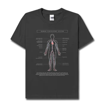 Тема: Системата на кръвообращението, памучен тениска с къси ръкави и принтом, мъжки годишна биологичната облекло с къси ръкави, културна риза